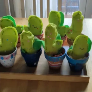 manualidades cactus creativo personalizado
